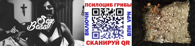 Купить где  Новое Девяткино  Псилоцибиновые грибы Psilocybe 